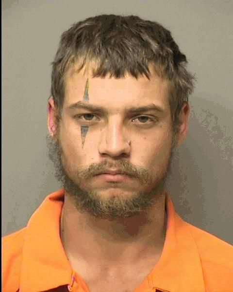 BRANDAN JAMES STOUT